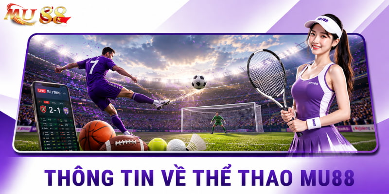 Thông tin về sảnh thể thao